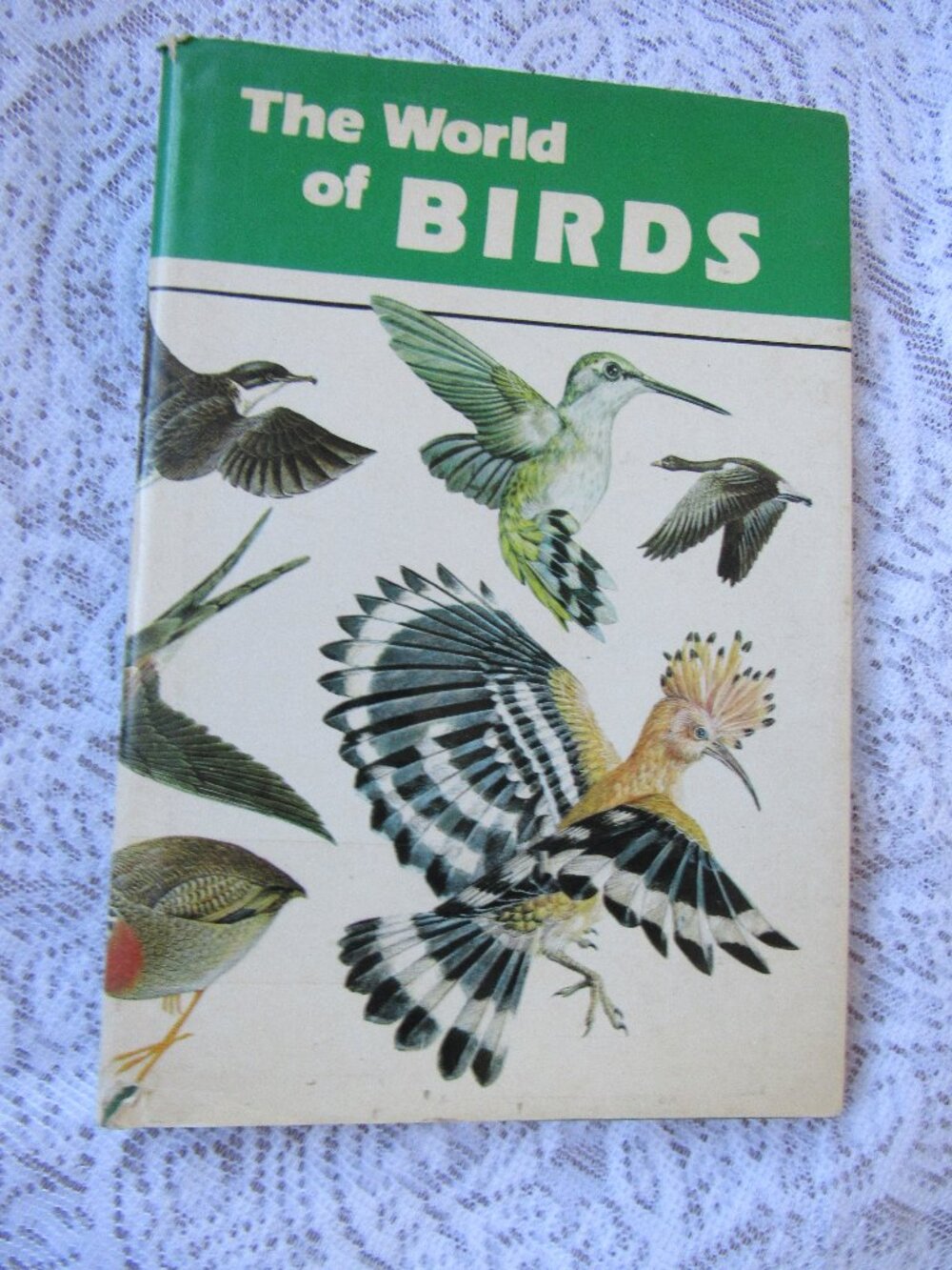 BIRDS ,THE WORLD OF BIRDS , by GIANFRANCO BOLOGNA , 1978 , Hardcover